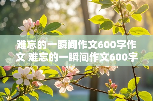 难忘的一瞬间作文600字作文 难忘的一瞬间作文600字作文运动会