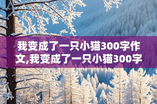 我变成了一只小猫300字作文,我变成了一只小猫300字作文三年级