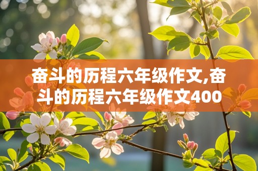 奋斗的历程六年级作文,奋斗的历程六年级作文400