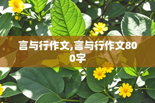 言与行作文,言与行作文800字