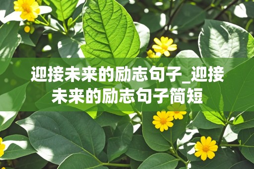 迎接未来的励志句子_迎接未来的励志句子简短