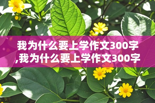 我为什么要上学作文300字,我为什么要上学作文300字五年级