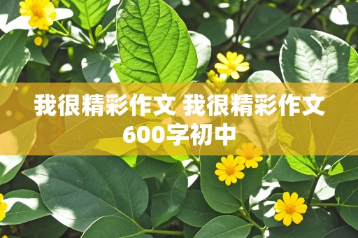 我很精彩作文 我很精彩作文600字初中