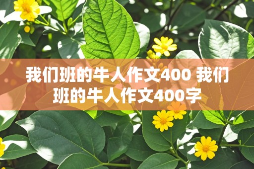 我们班的牛人作文400 我们班的牛人作文400字