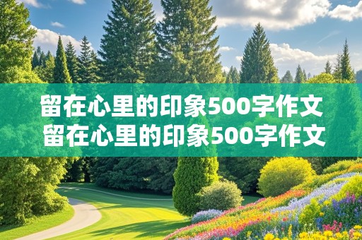 留在心里的印象500字作文 留在心里的印象500字作文记叙文