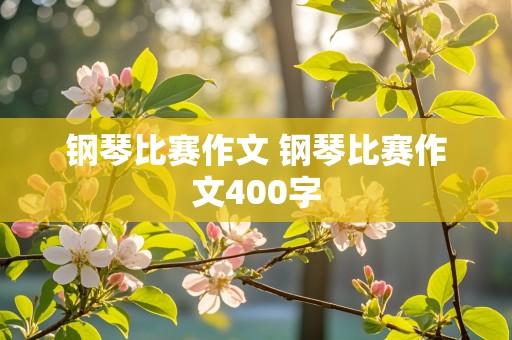 钢琴比赛作文 钢琴比赛作文400字