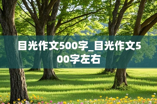 目光作文500字_目光作文500字左右