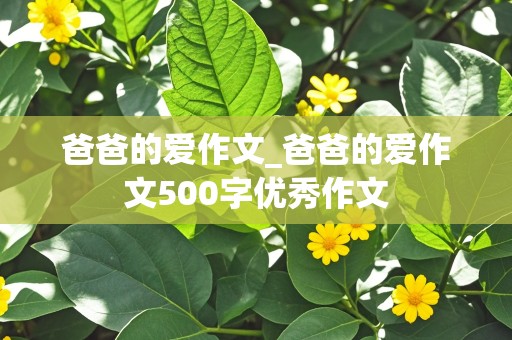 爸爸的爱作文_爸爸的爱作文500字优秀作文