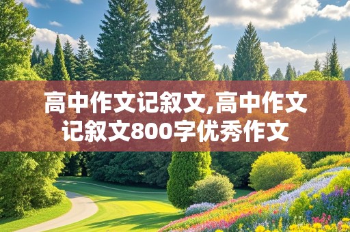 高中作文记叙文,高中作文记叙文800字优秀作文