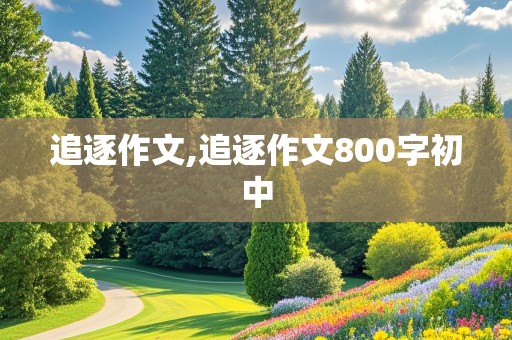 追逐作文,追逐作文800字初中