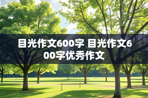 目光作文600字 目光作文600字优秀作文