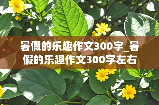 暑假的乐趣作文300字_暑假的乐趣作文300字左右