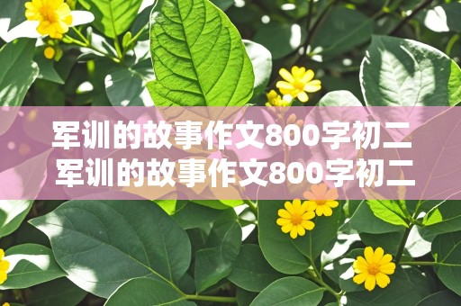 军训的故事作文800字初二 军训的故事作文800字初二作文