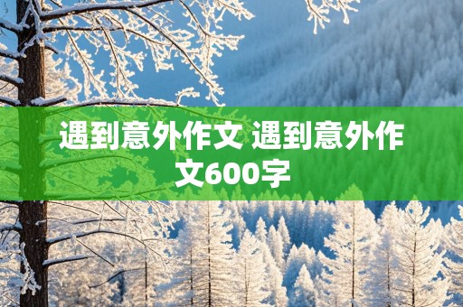 遇到意外作文 遇到意外作文600字