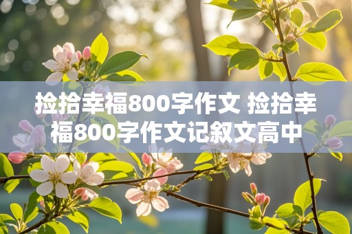 捡拾幸福800字作文 捡拾幸福800字作文记叙文高中