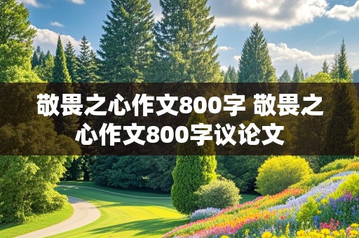 敬畏之心作文800字 敬畏之心作文800字议论文