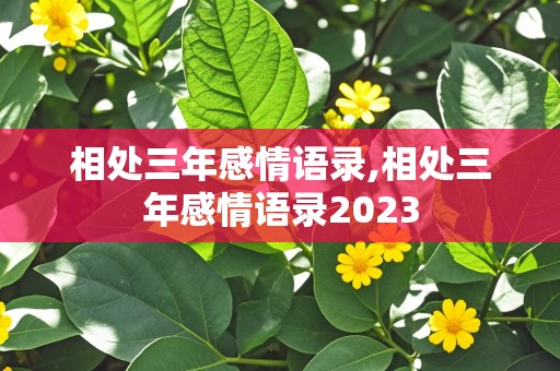 相处三年感情语录,相处三年感情语录2023