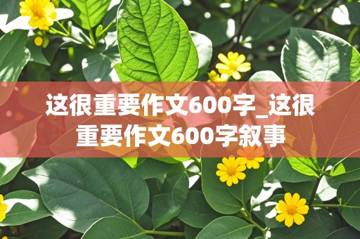 这很重要作文600字_这很重要作文600字叙事