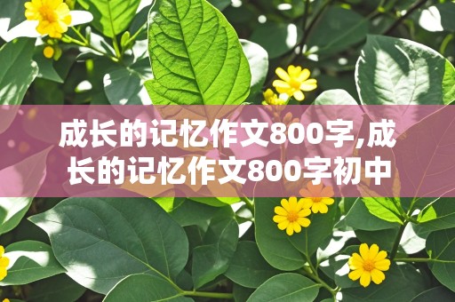 成长的记忆作文800字,成长的记忆作文800字初中