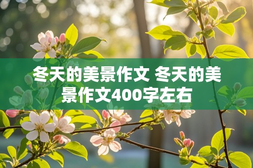 冬天的美景作文 冬天的美景作文400字左右