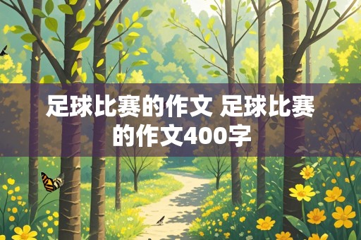 足球比赛的作文 足球比赛的作文400字