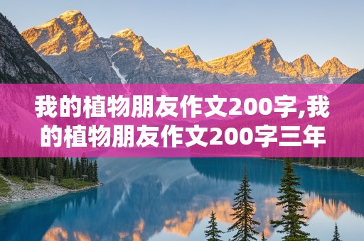 我的植物朋友作文200字,我的植物朋友作文200字三年级