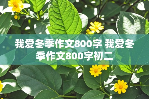 我爱冬季作文800字 我爱冬季作文800字初二