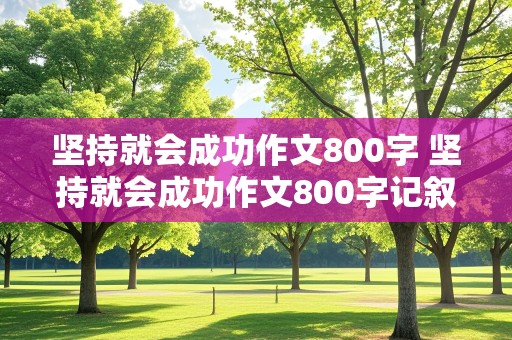 坚持就会成功作文800字 坚持就会成功作文800字记叙文