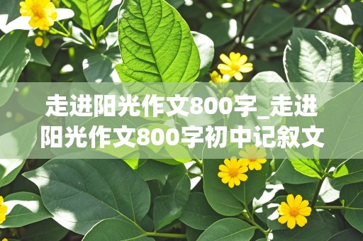 走进阳光作文800字_走进阳光作文800字初中记叙文