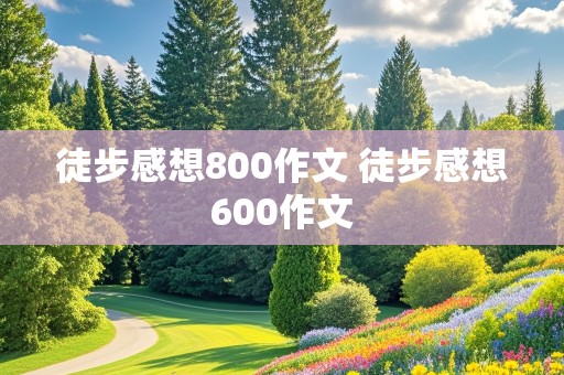 徒步感想800作文 徒步感想600作文