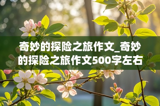 奇妙的探险之旅作文_奇妙的探险之旅作文500字左右