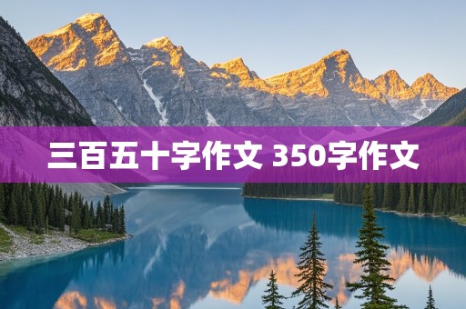 三百五十字作文 350字作文