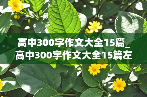 高中300字作文大全15篇_高中300字作文大全15篇左右