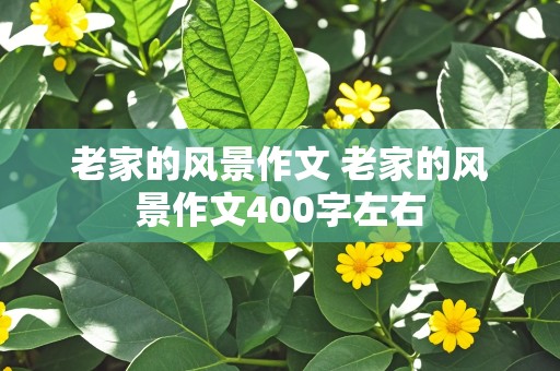 老家的风景作文 老家的风景作文400字左右