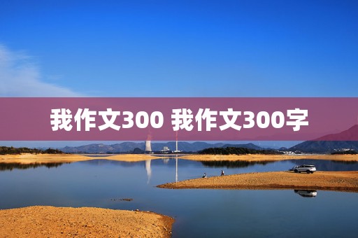 我作文300 我作文300字