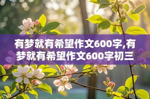 有梦就有希望作文600字,有梦就有希望作文600字初三