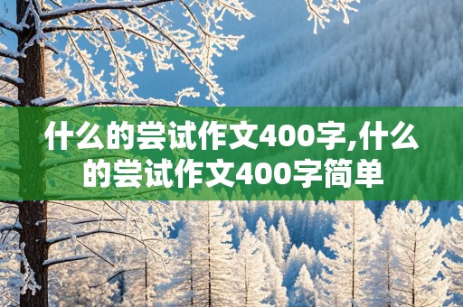 什么的尝试作文400字,什么的尝试作文400字简单