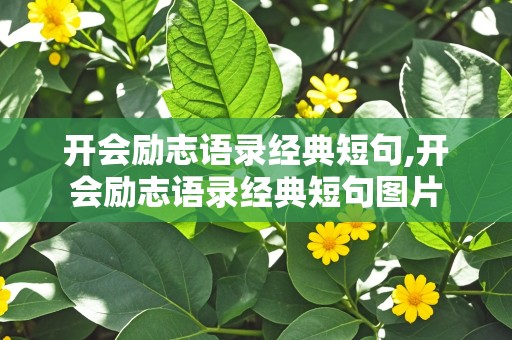 开会励志语录经典短句,开会励志语录经典短句图片