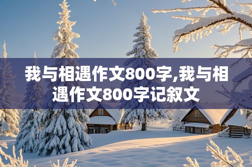 我与相遇作文800字,我与相遇作文800字记叙文