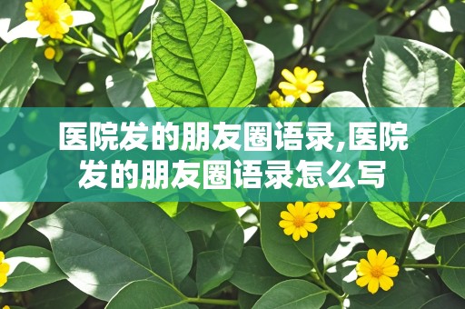 医院发的朋友圈语录,医院发的朋友圈语录怎么写