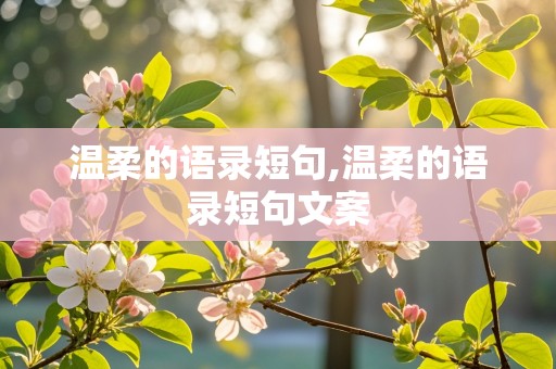 温柔的语录短句,温柔的语录短句文案