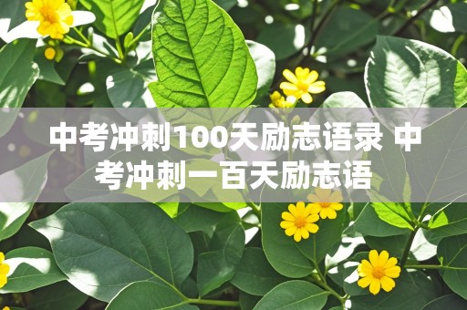 中考冲刺100天励志语录 中考冲刺一百天励志语