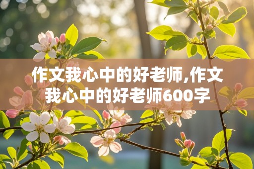 作文我心中的好老师,作文我心中的好老师600字