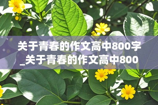 关于青春的作文高中800字_关于青春的作文高中800字议论文