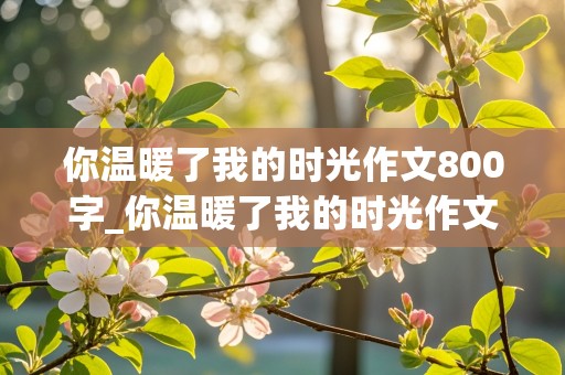 你温暖了我的时光作文800字_你温暖了我的时光作文800字记叙文