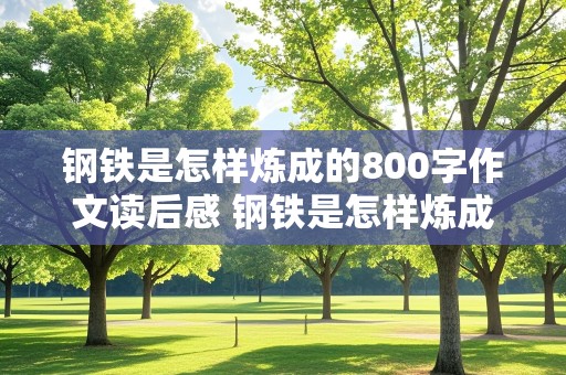 钢铁是怎样炼成的800字作文读后感 钢铁是怎样炼成的800字作文读后感1章到三章