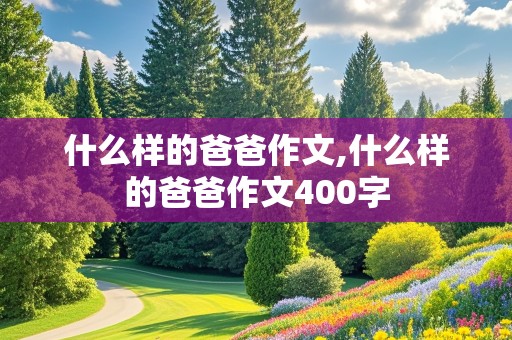 什么样的爸爸作文,什么样的爸爸作文400字