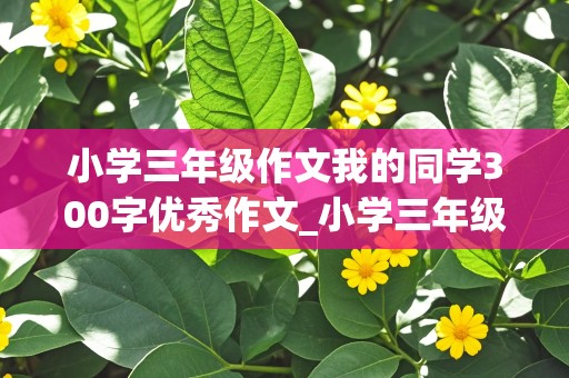 小学三年级作文我的同学300字优秀作文_小学三年级作文我的同学300字优秀作文怎么写