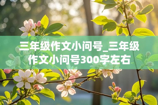 三年级作文小问号_三年级作文小问号300字左右