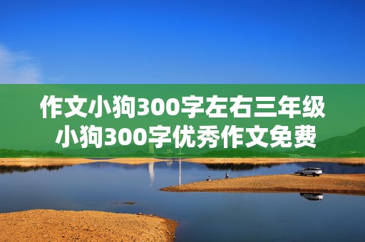 作文小狗300字左右三年级 小狗300字优秀作文免费